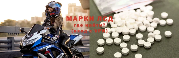 прущие грибы Верея